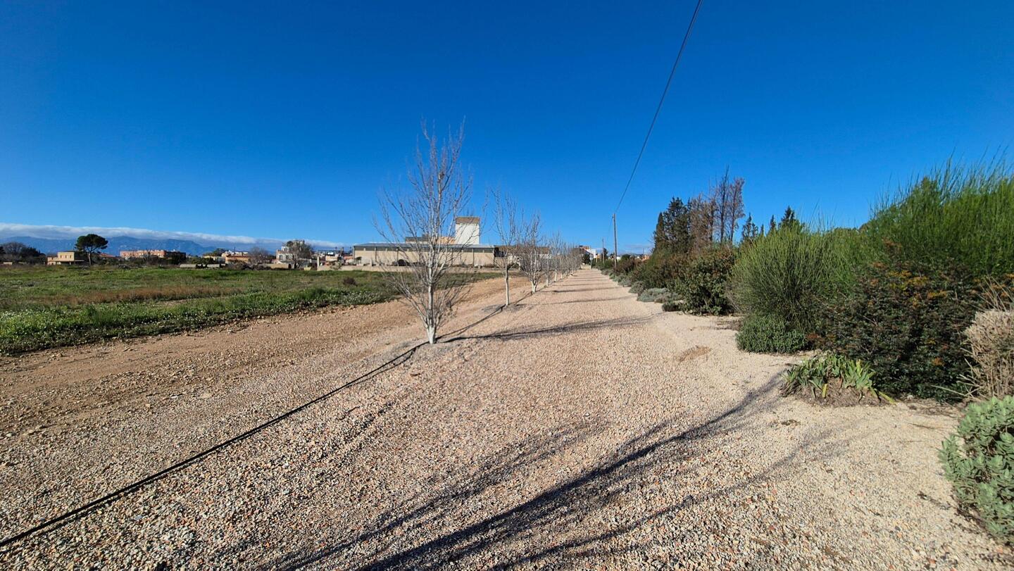 Schöner Wander-/Radweg. Los geht's in L' Aldea mit der Flurbegehung🚶‍♂️🐕‍🦺🚶‍♀️