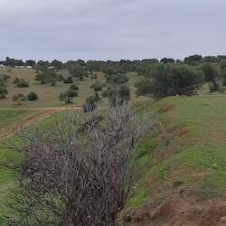 Schöner Blick auf Osuna