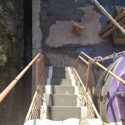 Steps down from the stern. None of the furries were keen.