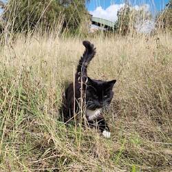 Whiskers was very happy to get back out of the dock