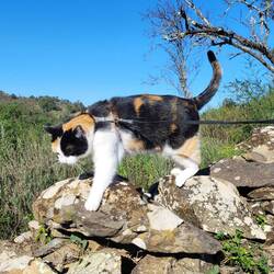 Leni möchte zu gern wissen, was unter den Steinen ist.