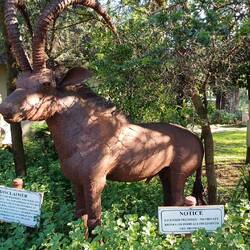 tschüss, grosses Tier ...