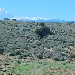 Sierra Nevada mit Schnee