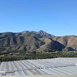 Das weiße sind alles Gewächshäuser