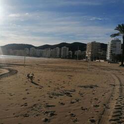 Endlich Freilauf und Rennen nach 3 Tagen