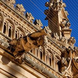 Fanciful carvings everywhere. This one caught Charlie's eye