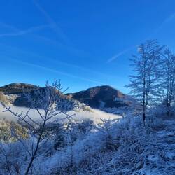 ..mit vereisten Grashalmen und Zweigen, aber auch..