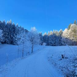 ..zumindest für einige kurze Meter.