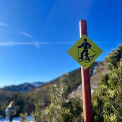 Schneeschuhe benötigt man hier oben aktuell eher weniger.