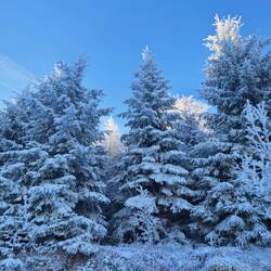 Hier und da blitzt dabei bereits die..