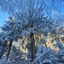 ..mit einem traumhaft schönen Winterwonderland!