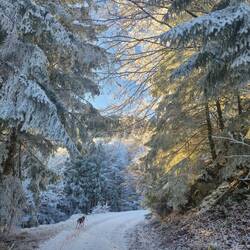 ..Sonne raus und begleitet uns dabei..