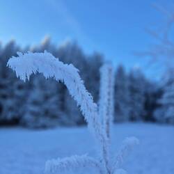 Je höher es jedoch rauf geht, desto mehr weicht..