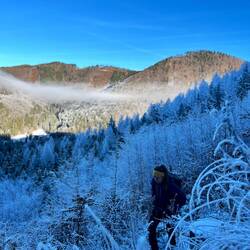 Wir nehmen zunächst vorlieb..