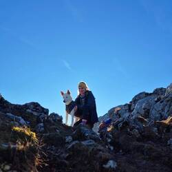 ..erreichen nach knapp zwei Stunden den..