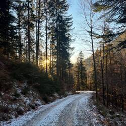 ..ehe wir über den Steig und die anschließende Straße zurück nach St. Wolfgang wandern.
