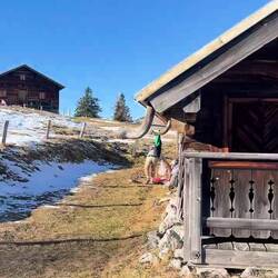 Johnny zieht währenddessen sein eigenes Ding durch.