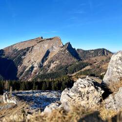 ..der Schafberg und seine Nebengipfel namens Spinnerin und Törlspitz.