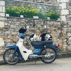 ..die ganze Familie😻ist abfahrbereit 😆