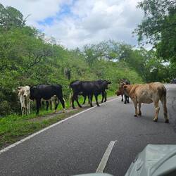 Der Weg ist versperrt!