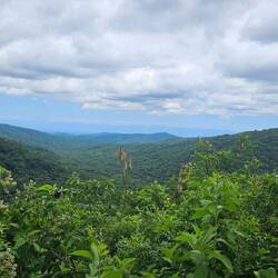 Grünes Meer von Salta