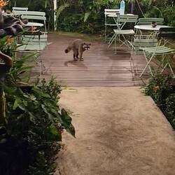 Besuch im Hostel