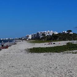 Am Strand von Bonita Springs. Im Hintergrund schemenhaft Fort Myers erkennbar