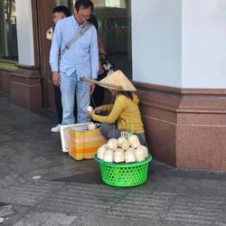 Coconut vendor