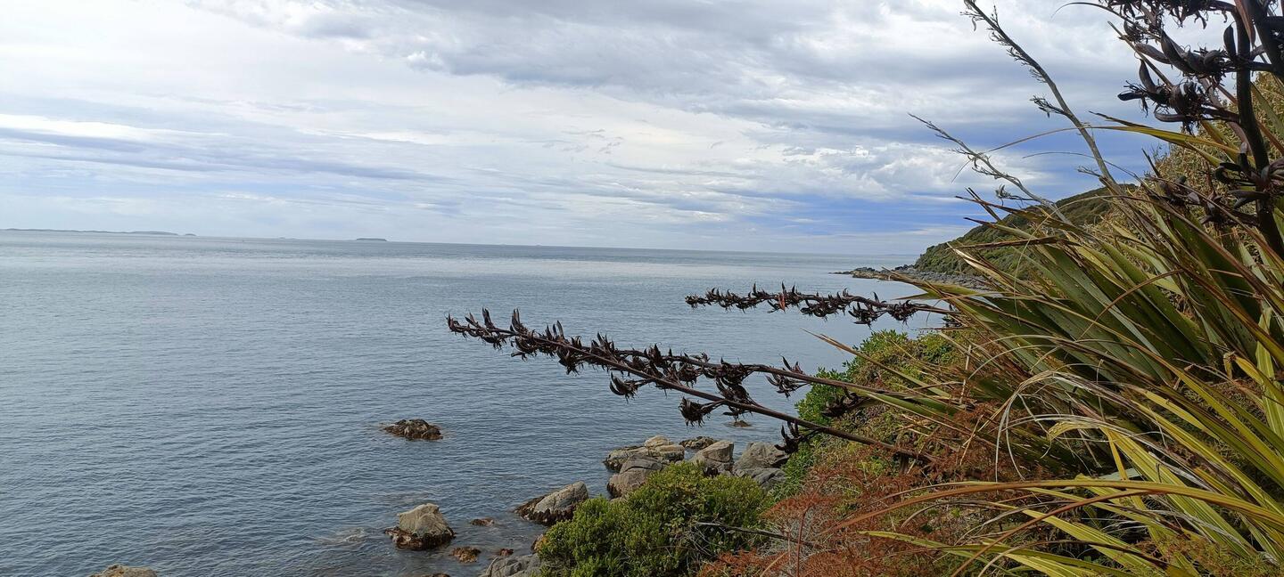 départ de la marche à Bluff