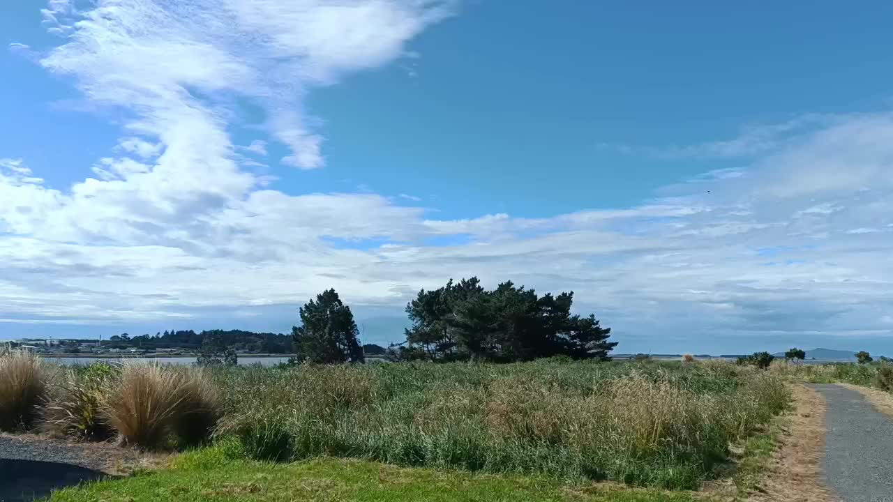 Notre marche le long de l'estuaire