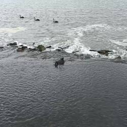 Sortie à vélo à l'estuaire