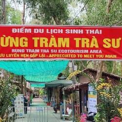 Arrivée à la forêt inondée 😍