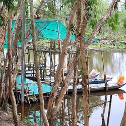 Petit tour en barque à rames 🛶
