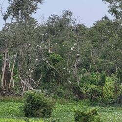 Réservé naturelle avec entre autre, beaucoup de cigognes 🥰