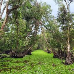 Magnifique et tellement calme 🍀