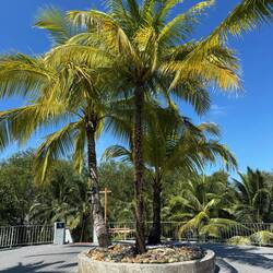 Ankunft im Ressort im Phang Nga