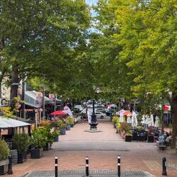 Die einladende Fussgängerzone in Nelson