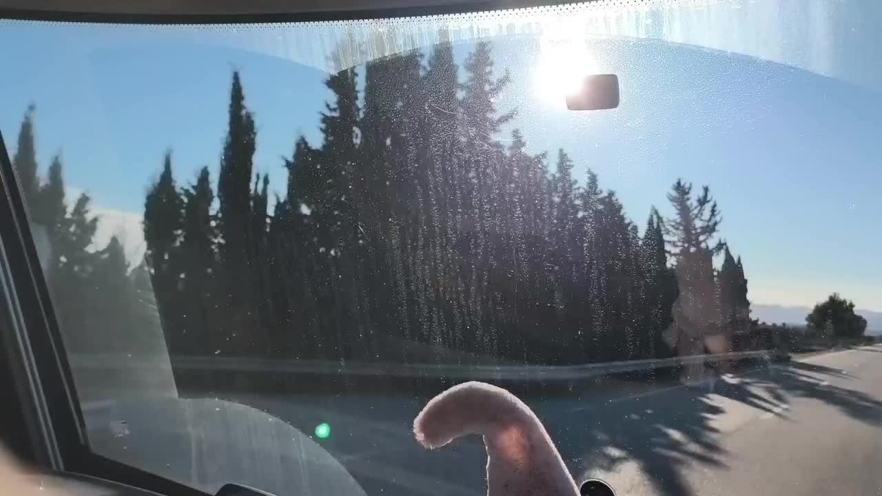 Zufahrt zum Stellplatz 🚍