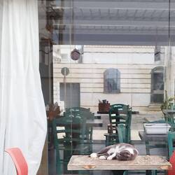 Satt, eingeschlafen 🥱