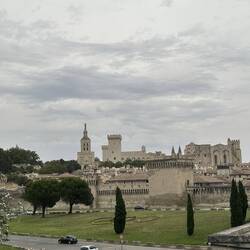 Avignon