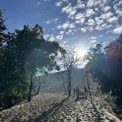 Dune du Pilat