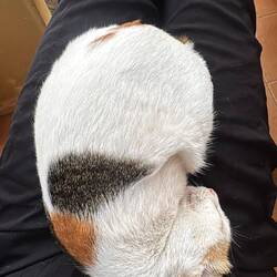 Happy Heng Heang Guesthouse