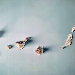 Die Kanarischen Inseln 🤩