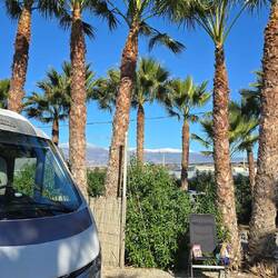 ... ein Traum - Plätzchen 🚐🌴🌞