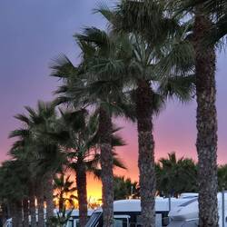 ... ein Augenschmaus 👀