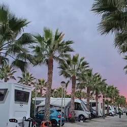 ... man schaue die Palmen 🌴 Blätter Spitzen funkeln wie Feuer 🔥 und Sterne 🌟 grande Erlebnis 😂