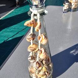 ... die Rita bastelt schöne Gläser mit Muscheln und Solarlicht