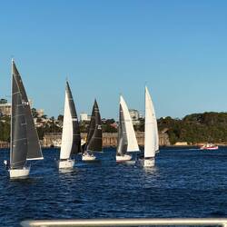 viele kleine Regatten auf dem Fluss