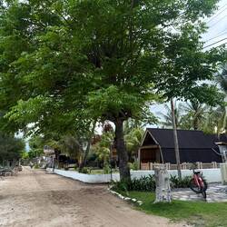 The main road at Turtle Point