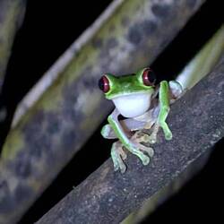 Wir zwoa auf Nachtwanderung. Nicht der Frosch und ich, ich und Dagmar